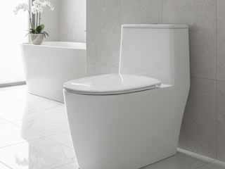 Bàn cầu 1 khối không viền Rimless Toilet ZTC-2162