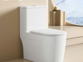 Bàn cầu 1 khối ZTC-2201