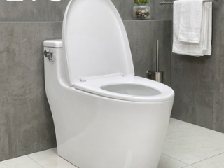 Bàn cầu 1 khối không viền Rimless Toilet ZTC-2225