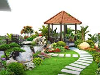 Bài viết cảnh quan nhà phố11