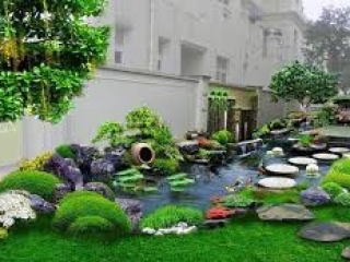 Bài viết cảnh quan nhà phố