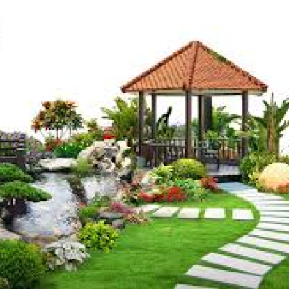 Bài viết cảnh quan nhà phố11