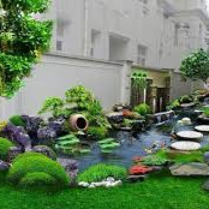 Bài viết cảnh quan nhà phố