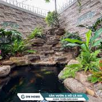 hồ cá hòn nam bộ quán cà phê buôn ma thuot